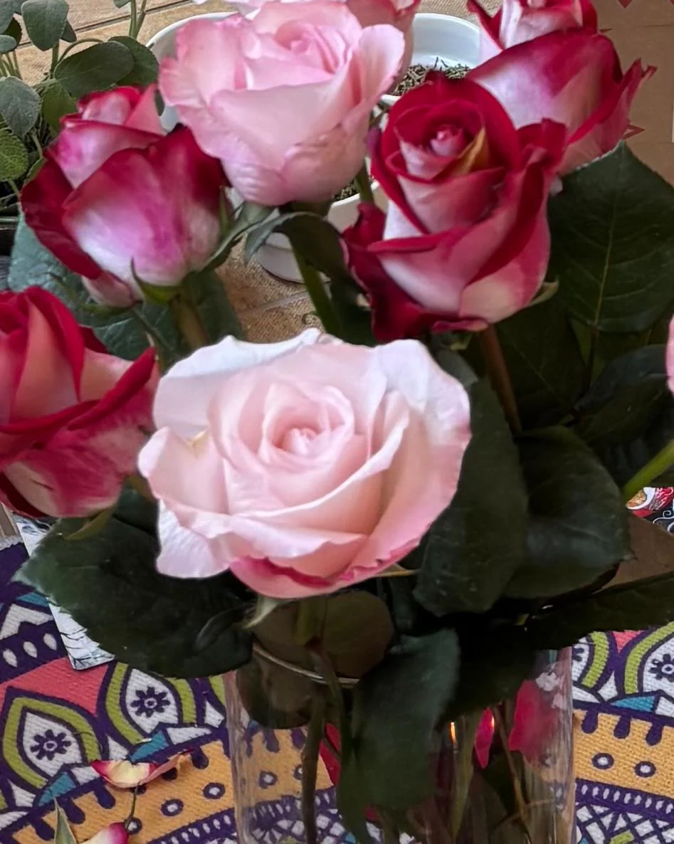 Rosas usadas na Terapia Vibracional das Rosas